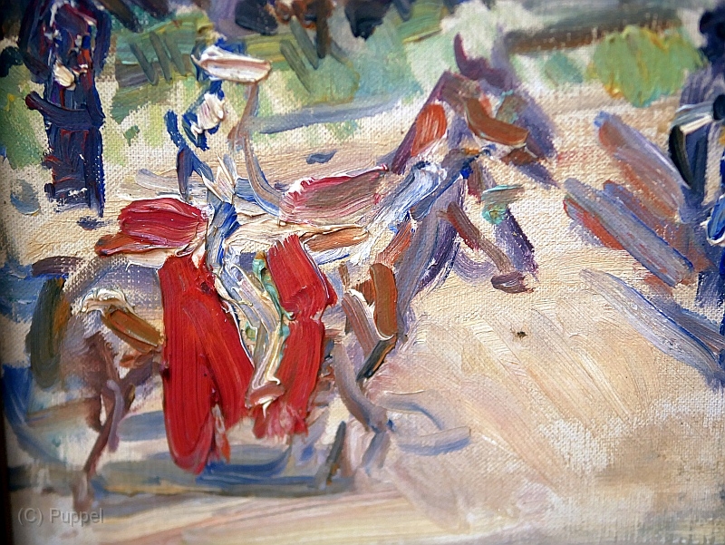 S P1540517.JPG